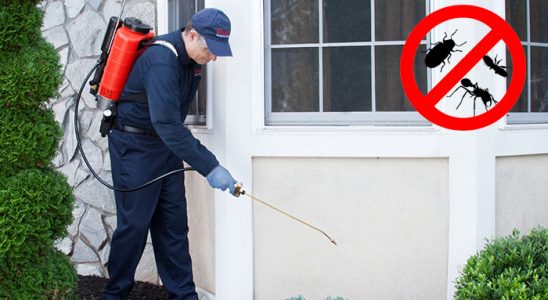 Şirinyer Kene İlaçlama böcek ilaçlama ve haşere kontrolü — ilaclama-tr.com